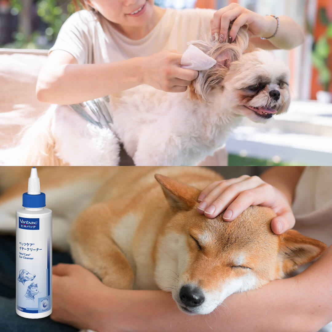 ベッツケア®イヤークリーナーは、ちょっとした耳の汚れのふき取りから、耳の中のしっかり洗浄もできる犬猫用の耳洗浄液です。