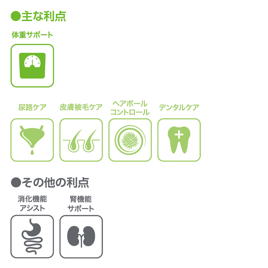 主な利点とその他利点のアイコンと説明の画像