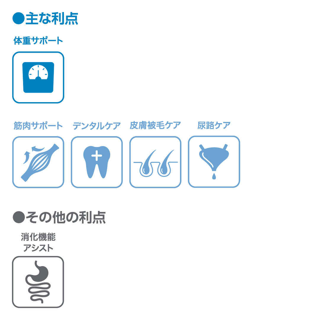 主な利点とその他利点のアイコンと説明の画像