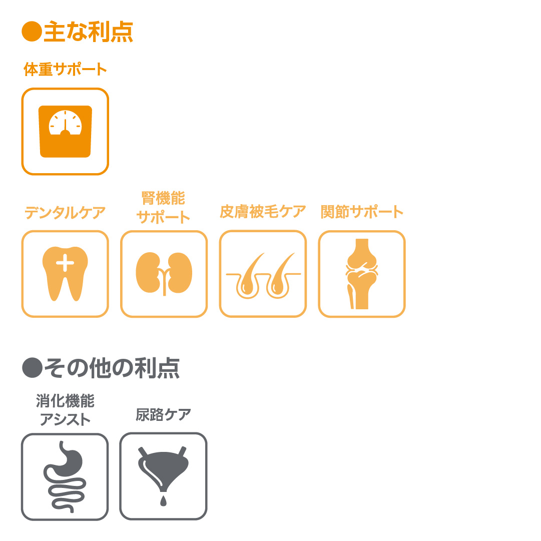 主な利点とその他利点のアイコンと説明の画像