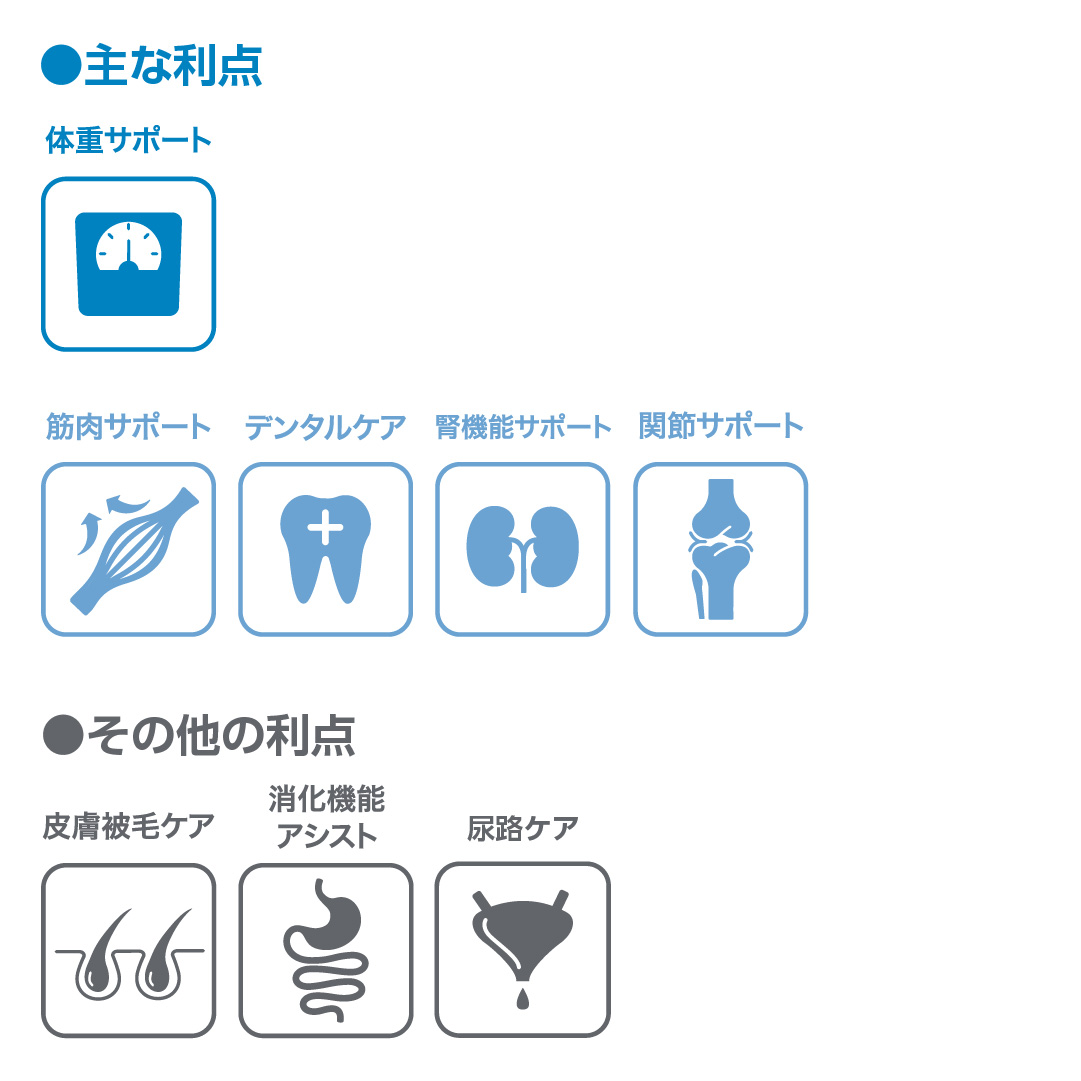 主な利点とその他利点のアイコンと説明の画像
